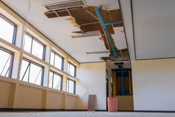 Best Water damage restoration near me  in Westover, AL