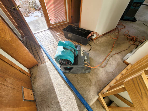 Best Commercial water damage restoration  in Westover, AL