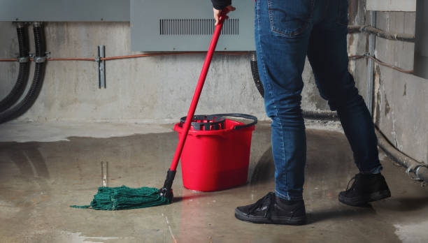 Best Local water damage restoration  in Westover, AL