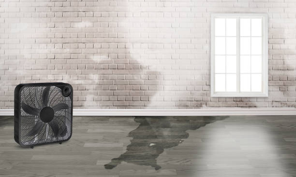 Water damage restoration process in Westover, AL