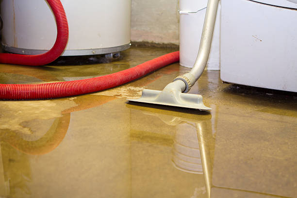 Best Water damage cleanup near me  in Westover, AL