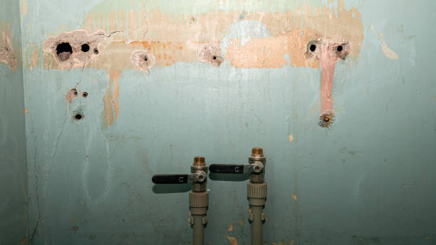Best Water damage contractors near me  in Westover, AL