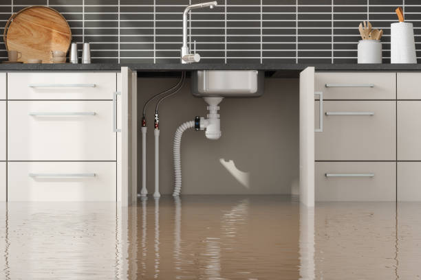 Best Water damage repair service  in Westover, AL