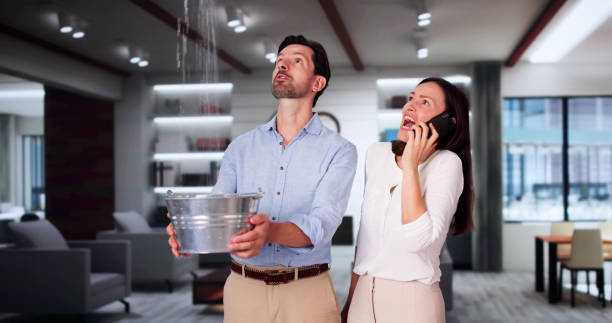 Best Fire Damage Restoration  in Westover, AL