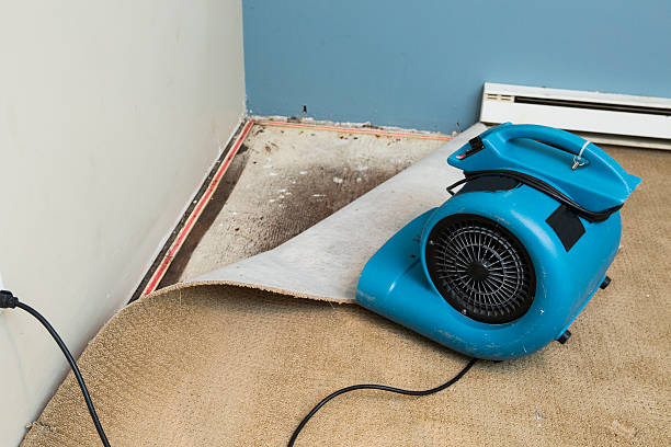 Best Flood restoration services  in Westover, AL